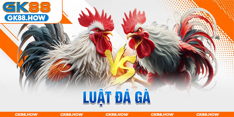 luật đá gà